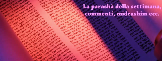 parasha banner.jpg